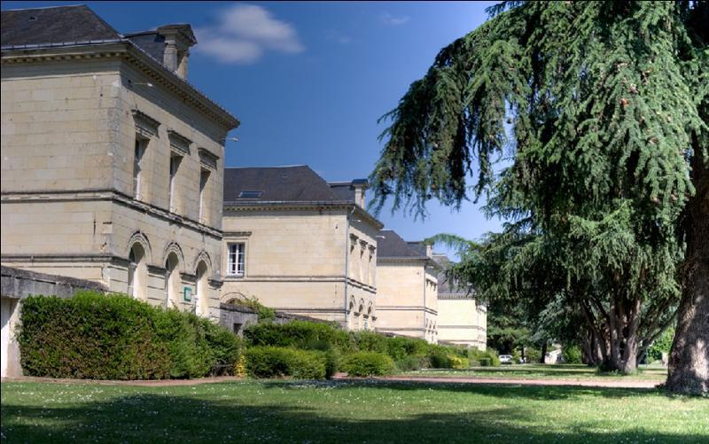 Hotel Domaine de Roiffé Esterno foto